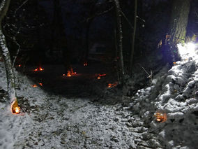 Waldadvent in der Fatima-Grotte (Foto: Karl-Franz Thiede)